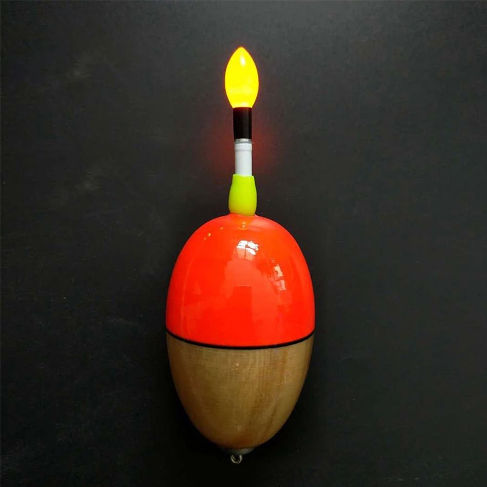 2pcs Night Fishing Fishing Rod - Fishing Bobber Float review and price